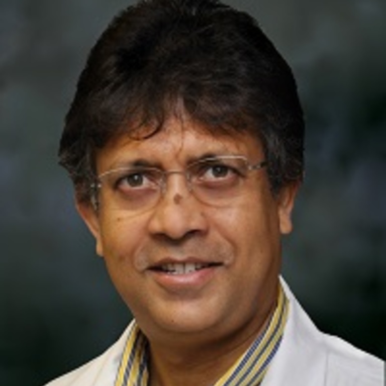 Portrait photo of Professor Punam Saha